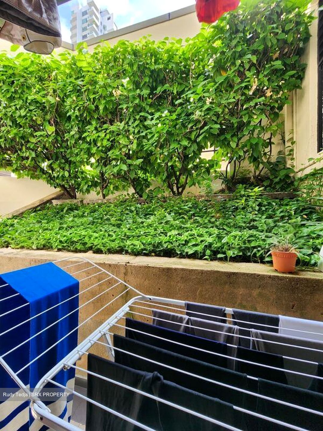 The Draycott (D10), Apartment #572670571